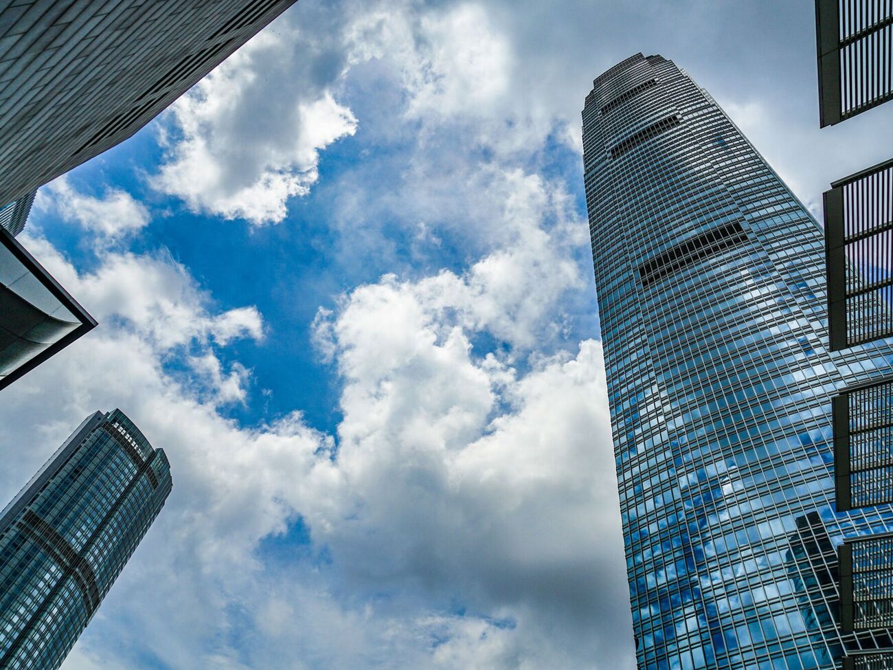 Сотни миллионов птиц ежегодно гибнут от ударов по окнам в Соединенных Штатах