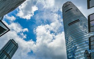 Сотни миллионов птиц ежегодно гибнут от ударов по окнам в Соединенных Штатах