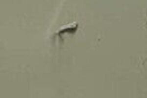 Шкиряк: Зло будет наказано и уничтожено