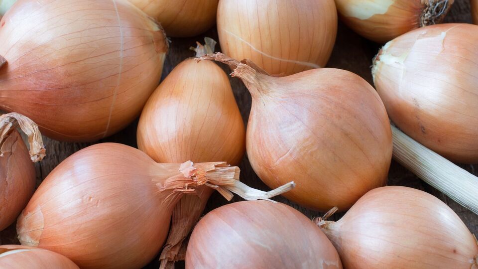 Лук будет дольше храниться, если не снимать с него шелуху