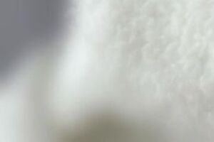 Ліза – молодша донька Пугачової