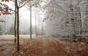 Диденко призвала подготовиться к морозам