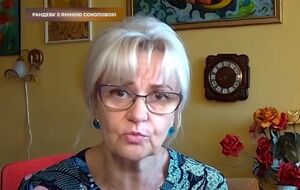 5 ноября Фарион в эфире программы "5 канала" "Рандеву с Яниной Соколовой" назвала "москворотыми быками" русскоязычных бойцов сил обороны Украины