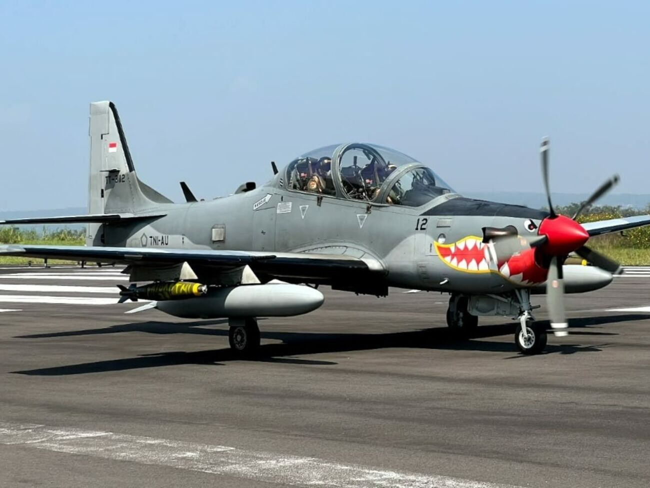 У разбившихся самолетов был относительно короткий срок службы, отметили в ВВС Индонезии