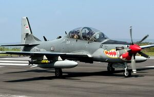 У разбившихся самолетов был относительно короткий срок службы, отметили в ВВС Индонезии