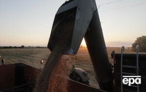 Росія ще до вторгнення готувалася вивозити зерно з України, вважають експерти