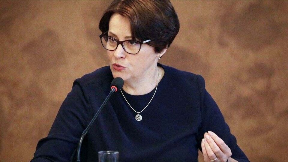 Депутат пожаловалась, что ее не слышат в комитете, возглавляемом Гетманцевым