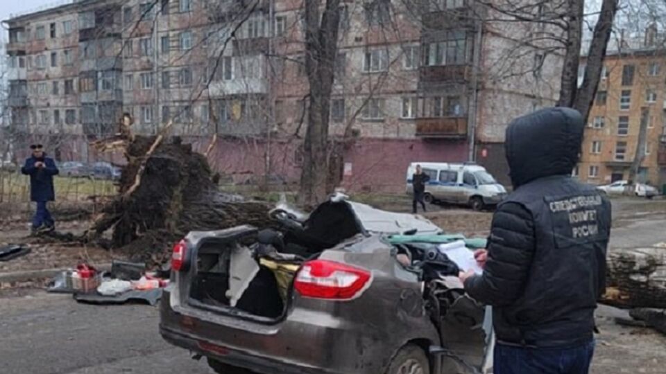 Два человека погибли в результате падения дерева на машину
