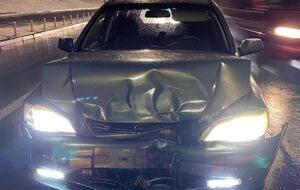 За 10 місяців 2023 року в Україні зареєстровано 19 743 ДТП із загиблими і/або травмованими, зазначив Білошицький