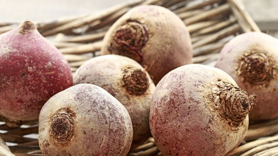 Свеклу не стоит хранить на солнце