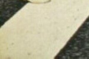 The Beatles была основана в 1960 году