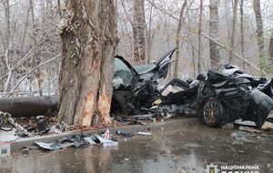 По предварительным данным, водитель не справился с управлением