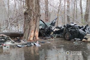 За попередніми даними, водій не впорався з керуванням