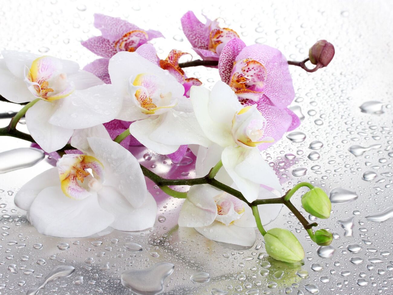 Суть процедури – в імітації тропічної зливи