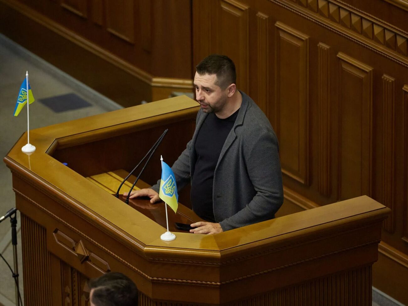 Арахамия о законопроекте: Когда будет условный консенсус по этому вопросу, мы это будем выносить в зал