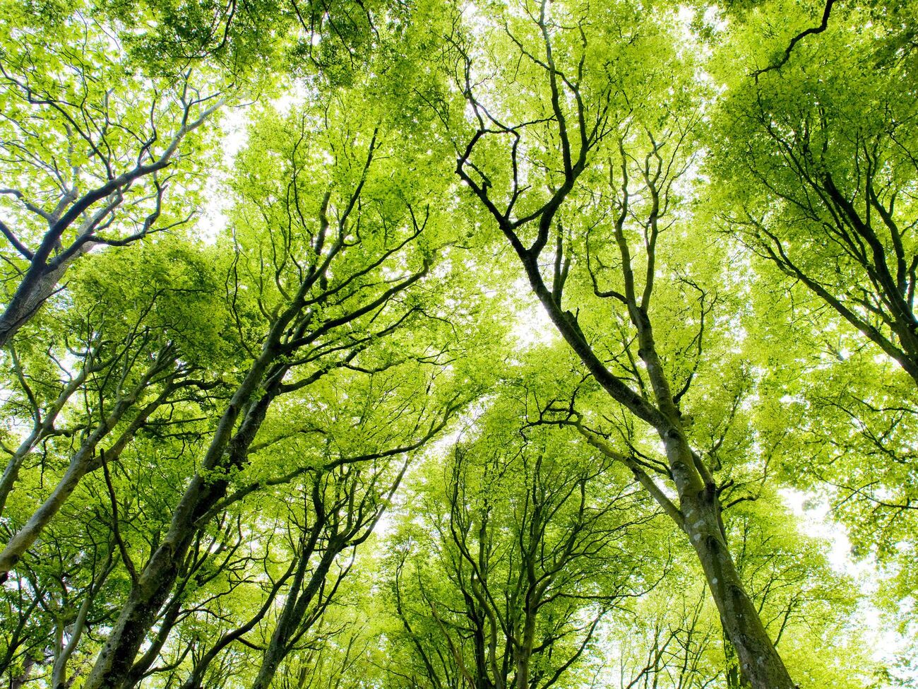 Франция хочет увеличить находящиеся под "сильной защитой" площади с менее чем 5% сегодня до 10% территории страны к 2030 году