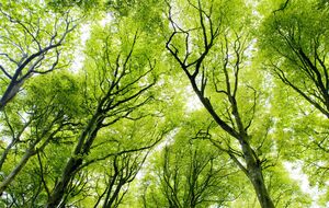 Франция хочет увеличить находящиеся под "сильной защитой" площади с менее чем 5% сегодня до 10% территории страны к 2030 году