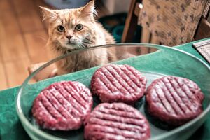 Іноді додавання яєць може зіпсувати котлети