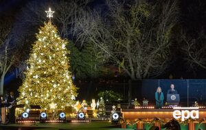 Национальная рождественская елка находится у президентской резиденции США