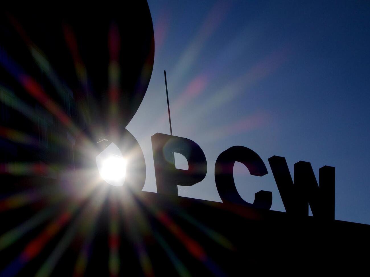 В состав исполнительного совета ОЗХО вошла Украина