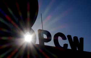 В состав исполнительного совета ОЗХО вошла Украина