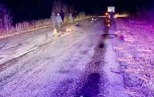 В полиции отметили, что женщина переходила дорогу в неположенном месте