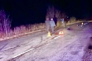 В полиции отметили, что женщина переходила дорогу в неположенном месте