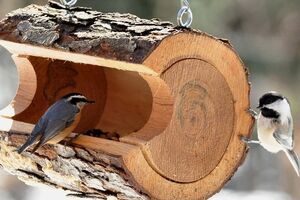 Для кормушки можно использовать бревно