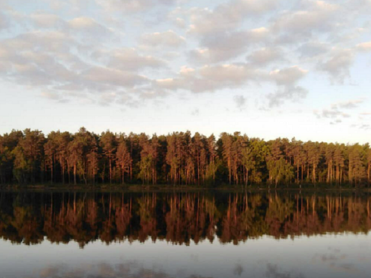 В Минприроды рассказали об уничтоженных водно-болотных объектов Украины