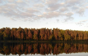 В Минприроды рассказали об уничтоженных водно-болотных объектов Украины