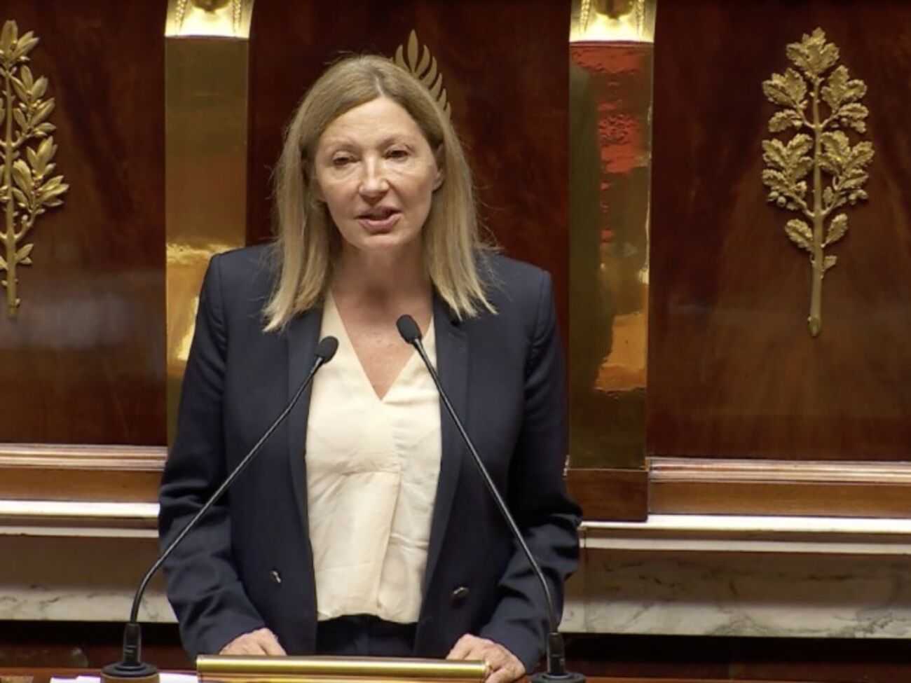Украине нужна возможность опираться на долгосрочную поддержку ЕС, считает Пузырефф