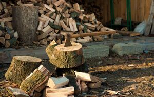 Украинские семьи при необходимости получают субсидии на твердое топливо, отметил Шмыгаль