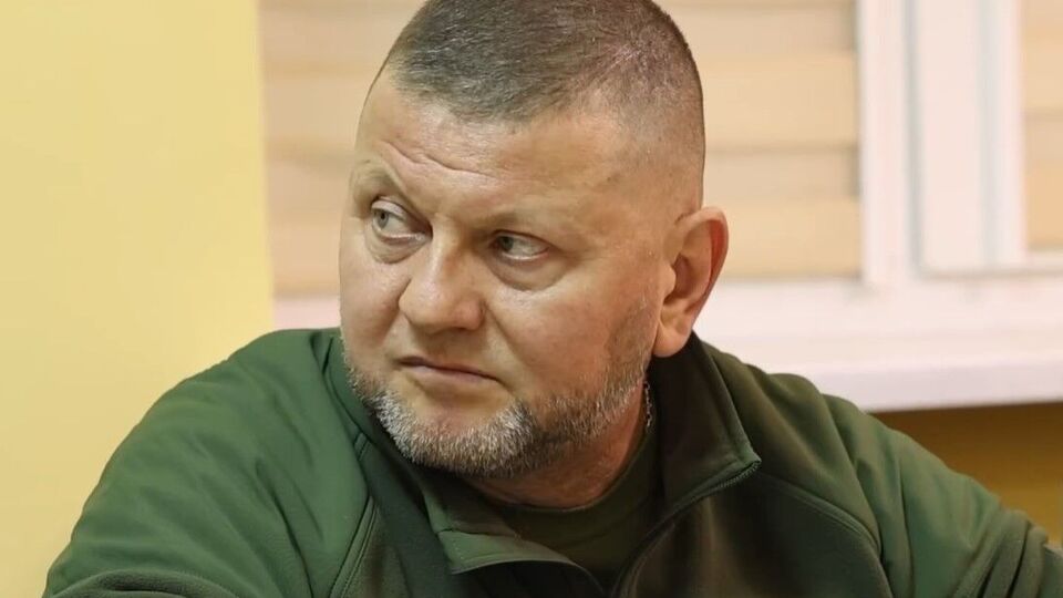 Арьев написал в Facebook пост, что Умеров на заседании ставки верховного главнокомандующего внес представление об увольнении Залужного (на фото), но позже его удалил