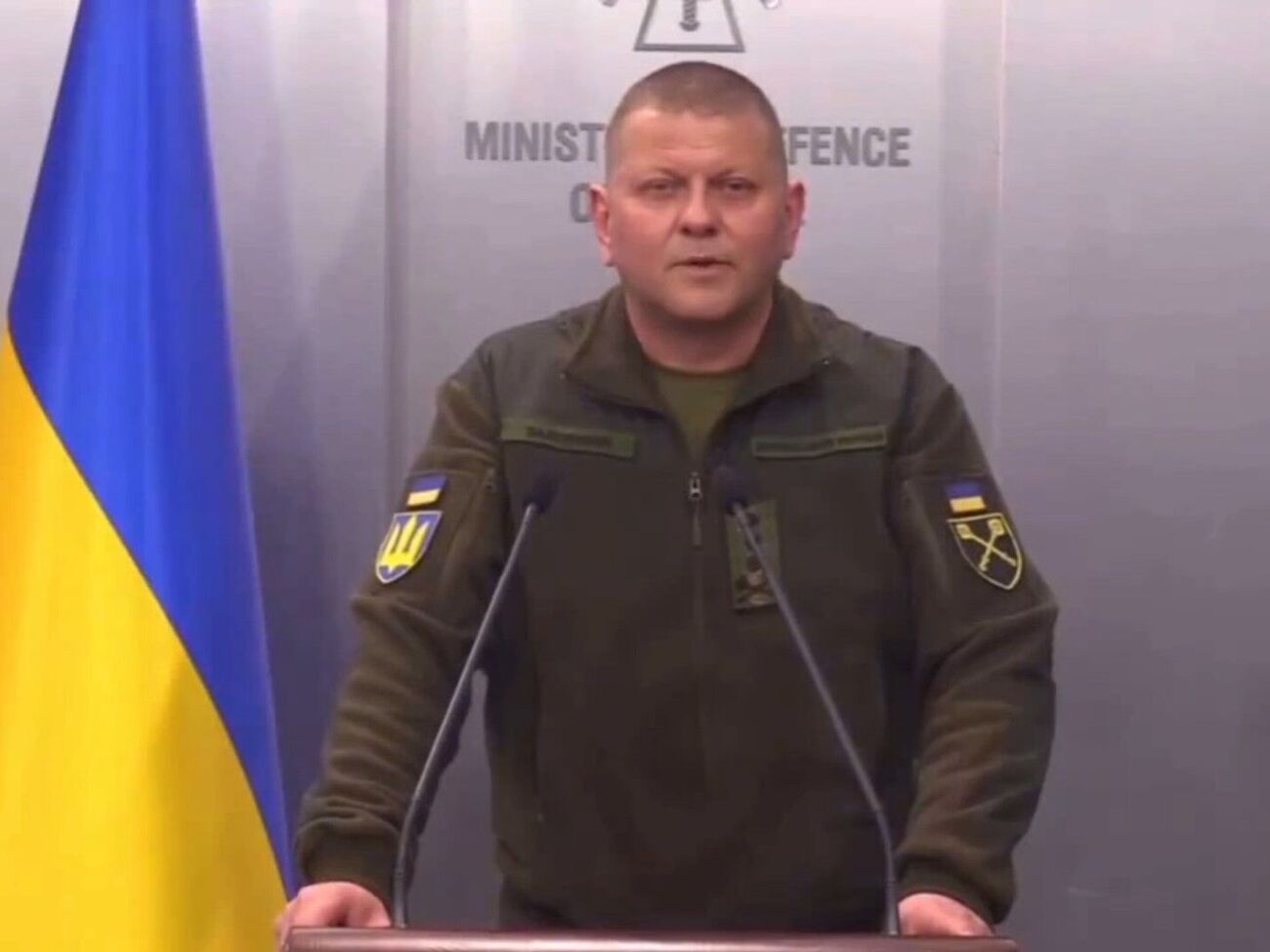 В российских соцсетях распространили фейковое видео с якобы Залужным