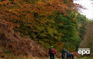 Октябрь 2023 года стал очередным самым теплым месяцем