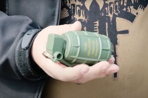 Суд не обрав запобіжного заходу офіцеру, який подарував бойові гранати