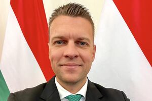 Решение украинского парламента о нацменьшинствах будет тщательно оценено, заявил Менцер