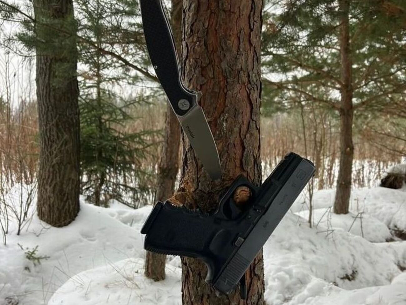 За Кивою стежили зі спостережного пункту