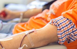 Процедура сдачи крови будет упрощена и упорядочена благодаря возможностям системы "єКров"