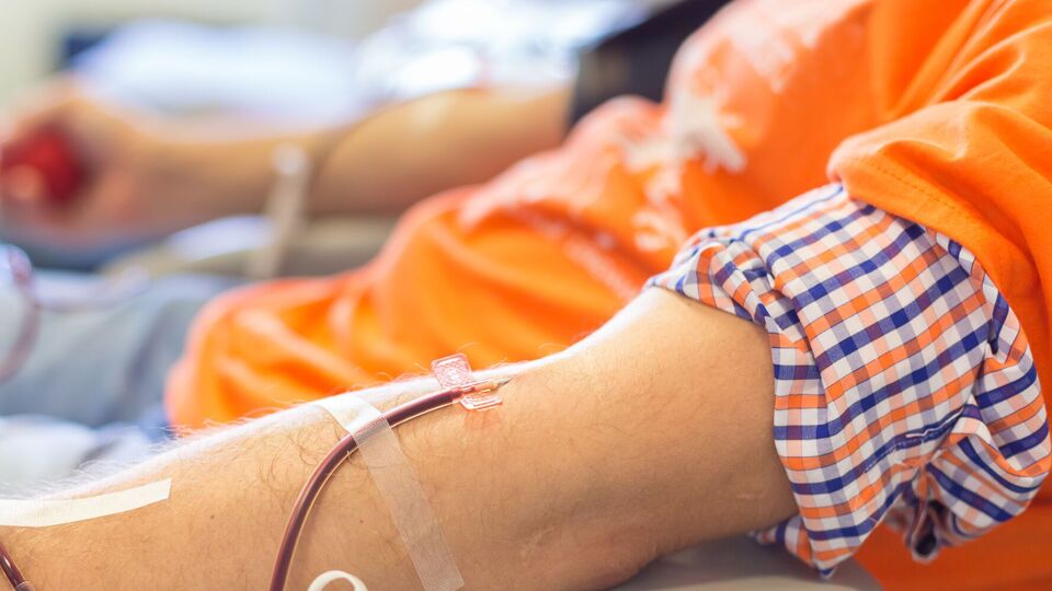 Процедура сдачи крови будет упрощена и упорядочена благодаря возможностям системы "єКров"