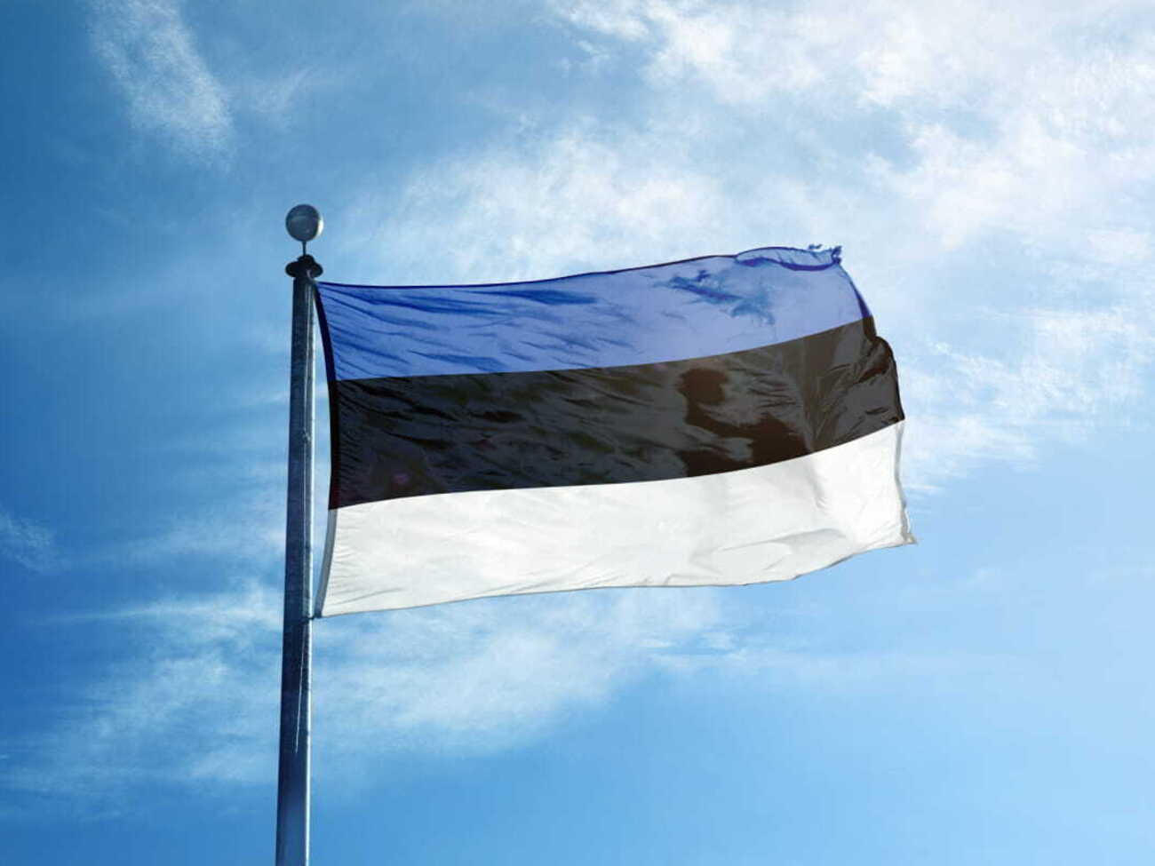 Новая партия помощи от Эстонии включает оружие и военный транспорт