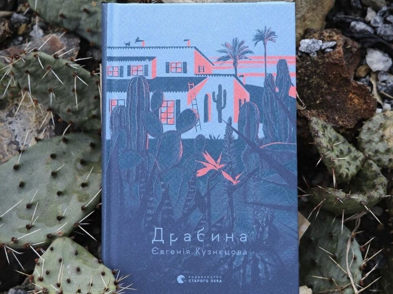 "Драбина" стала книгой года по версии "BBC News Україна"