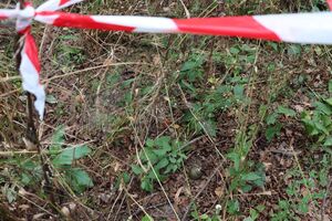 15-річний підліток, гуляючи в лісопосадці, знайшов вибухівку, зазначили в ДСНС