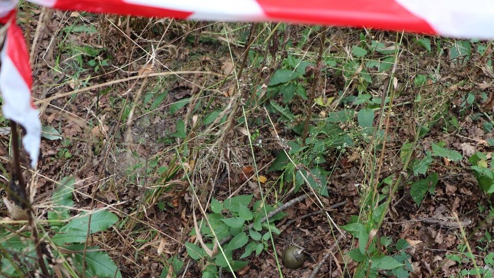 15-річний підліток, гуляючи в лісопосадці, знайшов вибухівку, зазначили в ДСНС