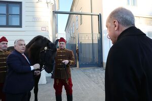 Орбан подарил Эрдогану лошадь с венгерского конезавода