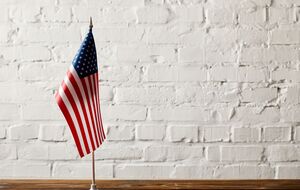 Климпуш-Цинцадзе заявила, що у нардепок, які не поїхали до США, було заплановано там зустрічі