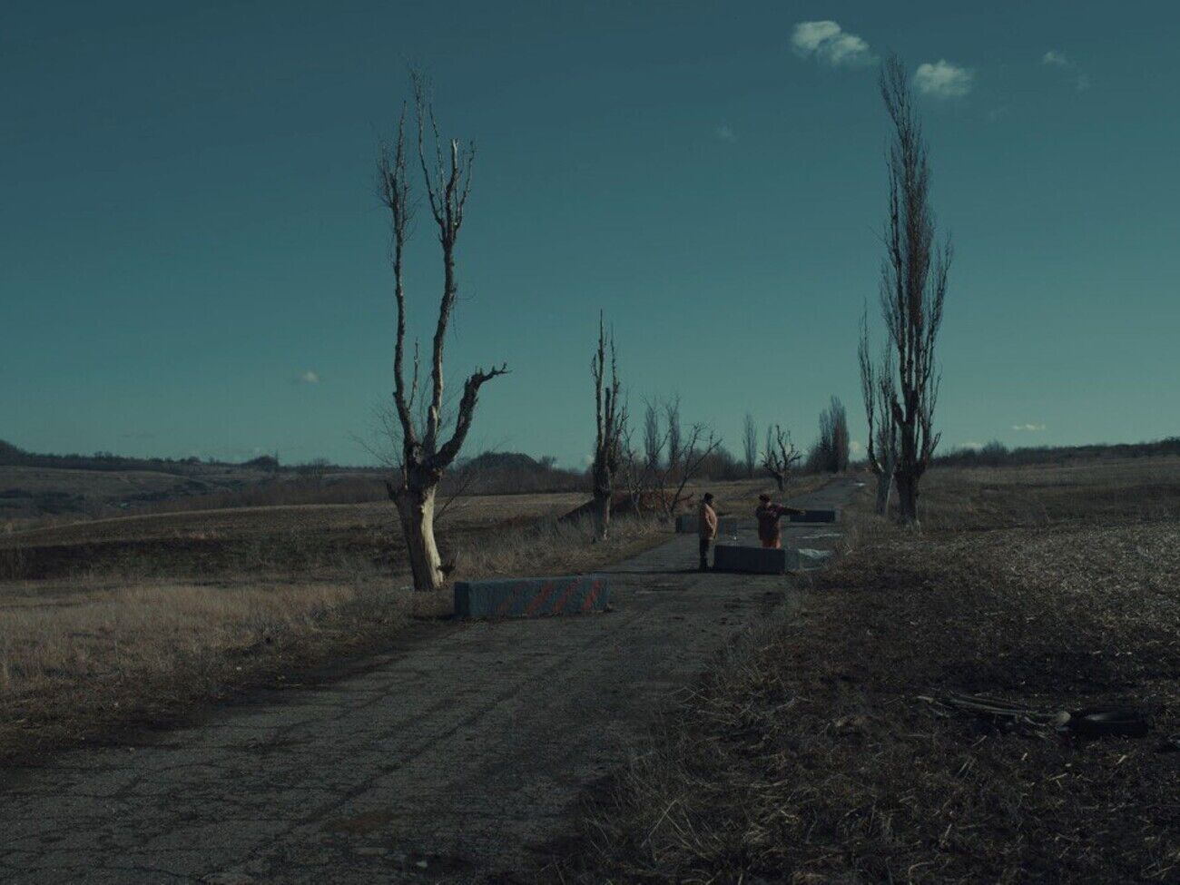 Главные роли в фильме исполнили украинские актеры Виктор Жданов и Владимир Ямненко