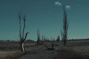 Главные роли в фильме исполнили украинские актеры Виктор Жданов и Владимир Ямненко