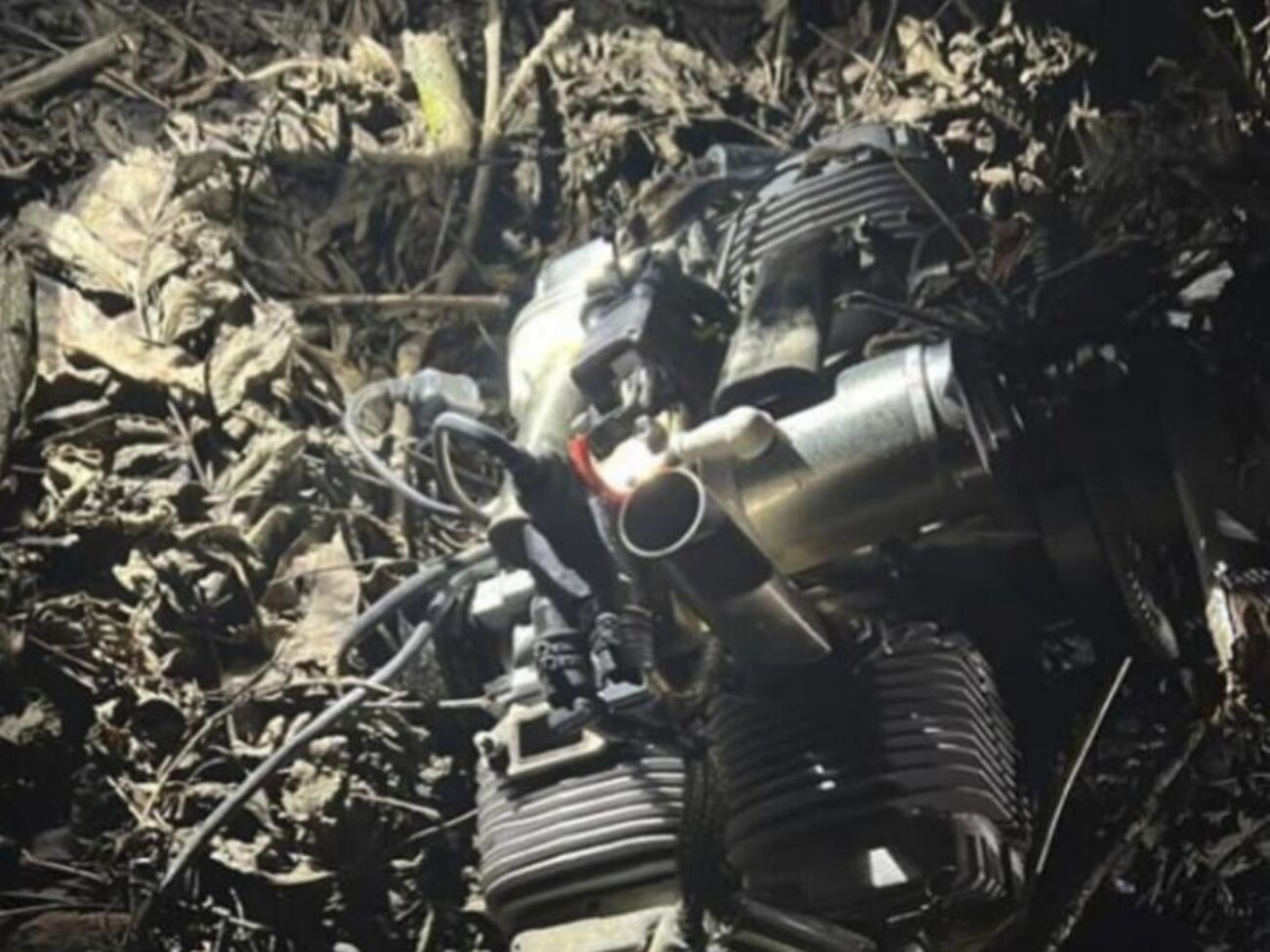 Понад 10 дронів цієї ночі збили в Миколаївській області