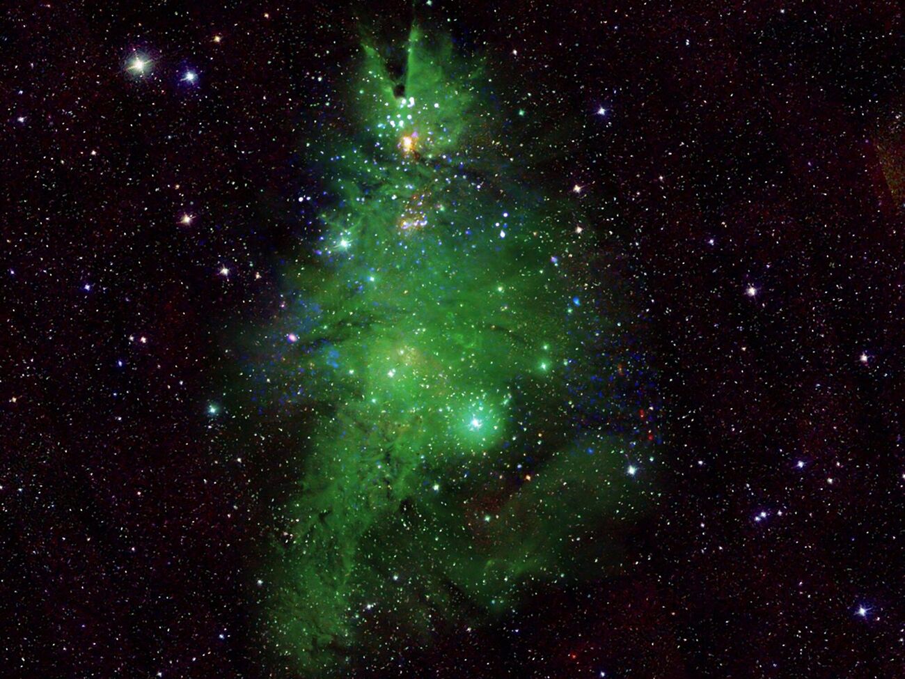 NGC 2264 – это скопление молодых звезд в возрасте от 1 млн до 5 млн лет